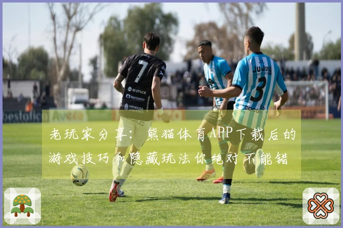 老玩家分享：熊猫体育APP下载后的游戏技巧和隐藏玩法你绝对不能错过！