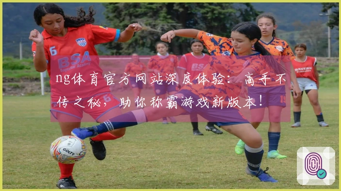 ng体育官方网站深度体验：高手不传之秘，助你称霸游戏新版本！